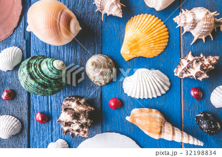 Seashells on blue painted wood plank background. Seashells on blue painted wood plank background. 32198834