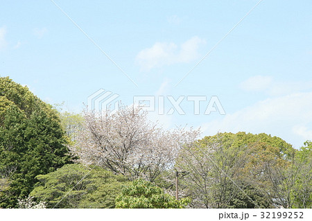 大中遺跡公園 大中遺跡公園 32199252