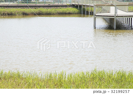 大中遺跡公園 大中遺跡公園 32199257