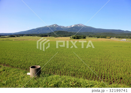 鳥海山と田んぼ 32199741
