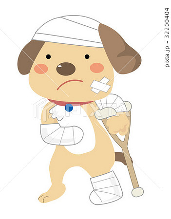 事故に遭い ケガをしている犬 松葉杖をついている のイラスト素材