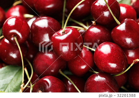 lot of ripe cherries background 32201388