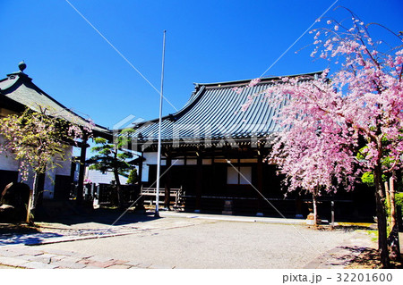 諏訪湖畔 教念寺 書院 & 桜の花 ( 長野県 諏訪市 小和田 ) 諏訪湖畔 教念寺 書院 & 桜の花 ( 長野県 諏訪市 小和田 ) 32201600