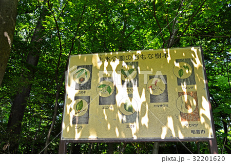 玉川上水沿いの上水公園(昭島市) 玉川上水沿いの上水公園(昭島市) 32201620