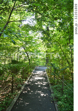 玉川上水沿いの上水公園（昭島市） 32201809