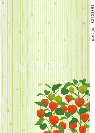 ほおずきのはがきテンプレートのイラスト素材