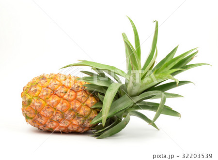 pineapple isolated pineapple isolated 32203539