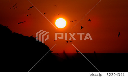 日本 島根県 島根半島 ウミネコの繁殖地「経島」に沈む夕日 アップ 日本海 日本 島根県 島根半島 ウミネコの繁殖地「経島」に沈む夕日 アップ 日本海 32204341