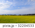 菜の花畑 32204533