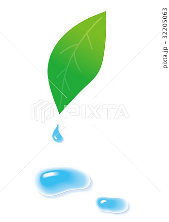 葉っぱと水滴のイラスト素材