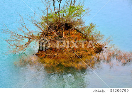 新緑の宝仙湖 32206799