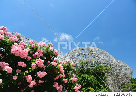 フラワーガーデン 32206946