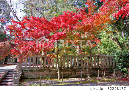 京都・長岡京 光明寺の紅葉 京都・長岡京 光明寺の紅葉 32208177
