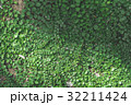 green leaf background 32211424