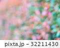 Blurred red and green leaves 32211430