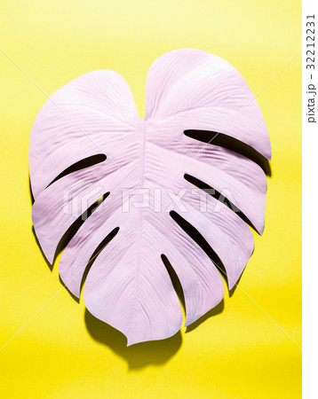 Painted monstera leaf with hard shadow Painted monstera leaf with hard shadow 32212231