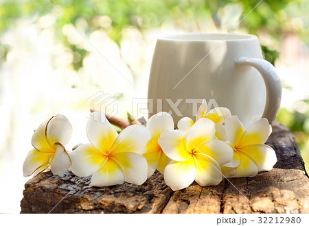 Group of beautiful Plumeria flower and coffee cup  32212980