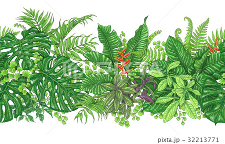Tropical Plants Line Horizontal Pattern 32213771