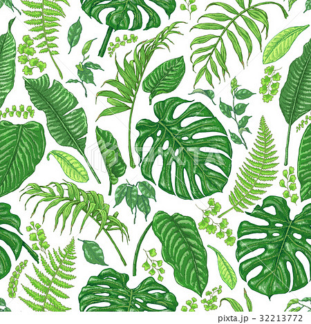 Hand Drawn Tropical Plants Pattern 32213772