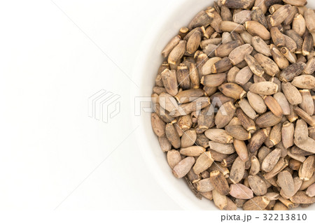 ミルクシスル：Milk thisle 32213810