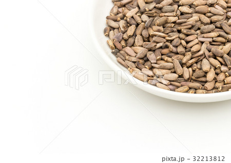 ミルクシスル：Milk thisle 32213812