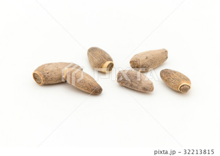 ミルクシスル：Milk thisle 32213815