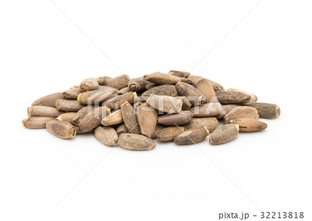 ミルクシスル：Milk thisle 32213818