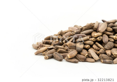 ミルクシスル：Milk thisle 32213821