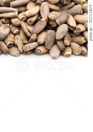 ミルクシスル：Milk thisle 32213823