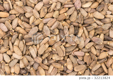 ミルクシスル：Milk thisle 32213824