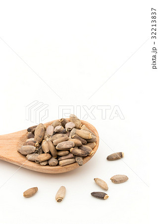 ミルクシスル：Milk thisle 32213837