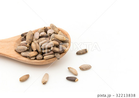 ミルクシスル：Milk thisle 32213838