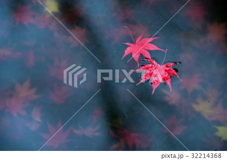 池の上の紅葉 32214368