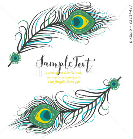 Colorful peacock feathers 32214427