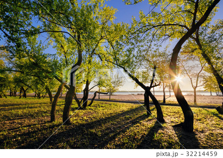 Magic morning with the rising sun Magic morning with the rising sun 32214459