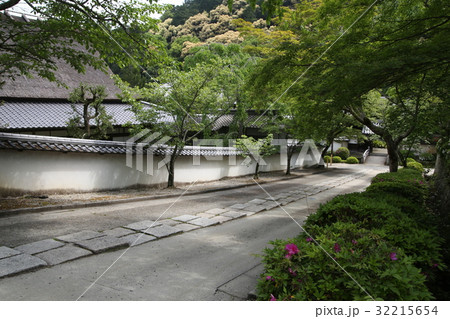 天野山金剛寺の新緑 天野山金剛寺の新緑 32215654