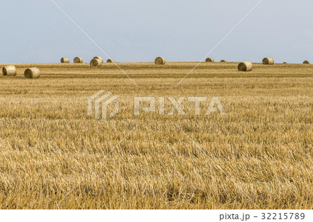 harvested field agriculture with straw bales 32215789