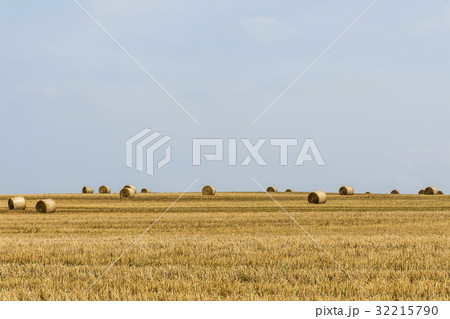 harvested field agriculture with straw bales harvested field agriculture with straw bales 32215790