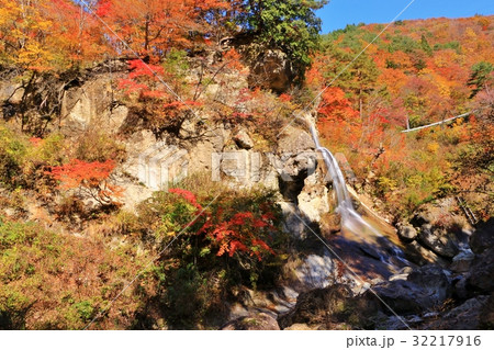 紅葉の紅葉川渓谷 紅葉の紅葉川渓谷 32217916