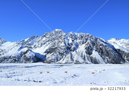 New Zealand　タスマンバレー 32217933