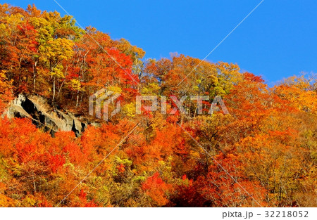 紅葉の奥新川（おくにっかわ） 32218052
