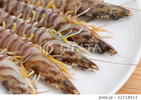 活きクルマエビ 32218913
