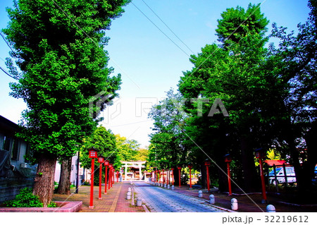 須賀神社 参道 & 大鳥居 ( 祇園神社 ) 栃木県 小山市 須賀神社 参道 & 大鳥居 ( 祇園神社 ) 栃木県 小山市 32219612