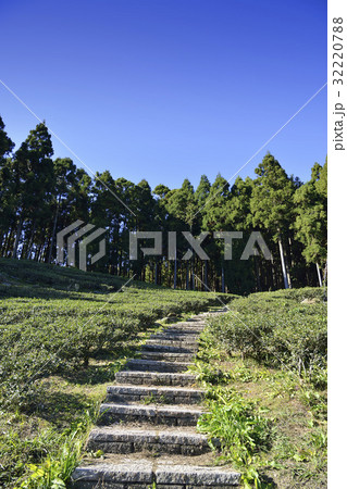 The Lawn The Lawn 32220788
