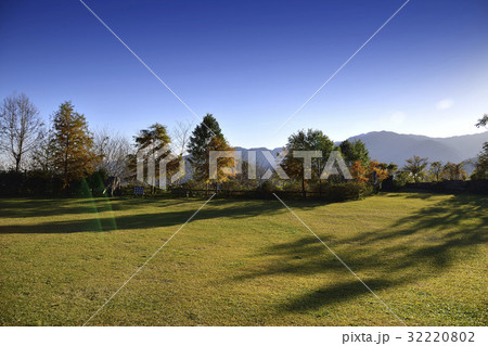 The Lawn The Lawn 32220802
