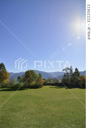 The Lawn 32220813