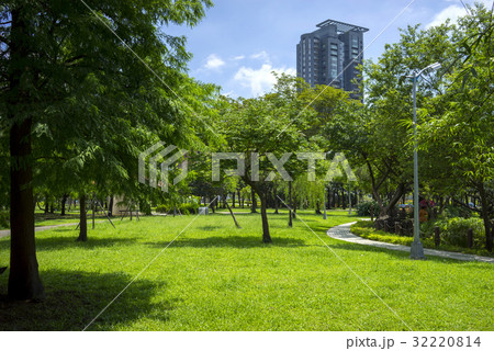 The Lawn 32220814