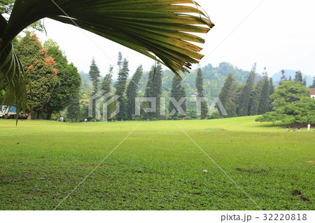 The Lawn The Lawn 32220818