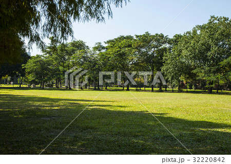 The Lawn The Lawn 32220842