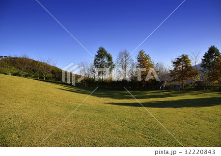 The Lawn The Lawn 32220843